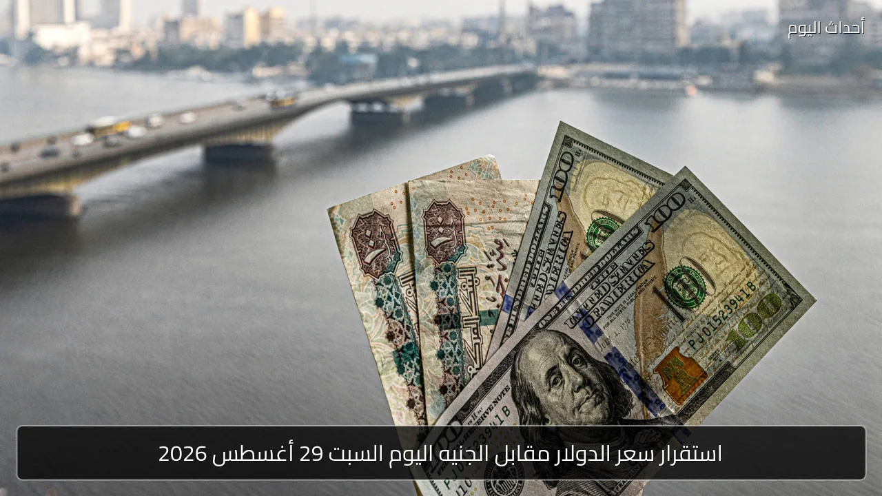 استقرار سعر الدولار مقابل الجنيه اليوم السبت 29 أغسطس 2026