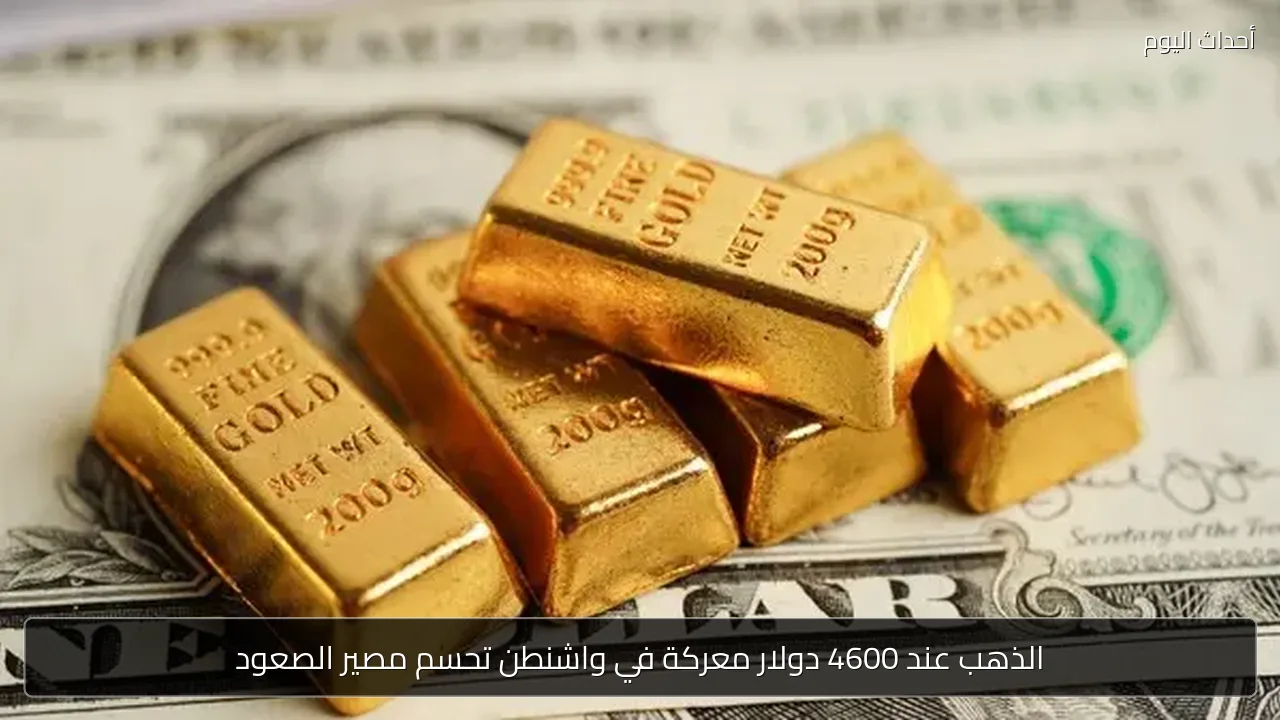الذهب عند 4600 دولار معركة في واشنطن تحسم مصير الصعود