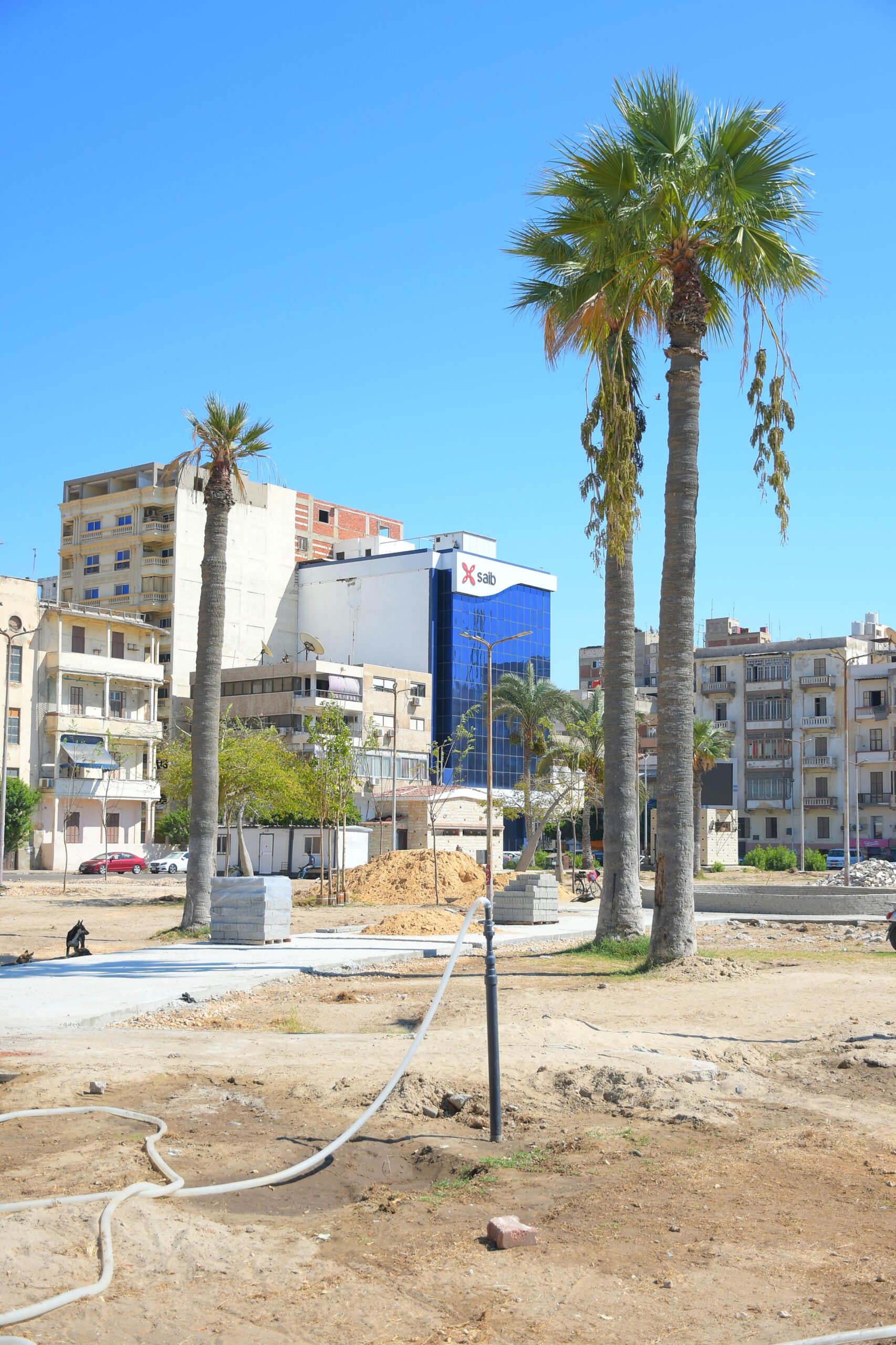 تطوير الميدان