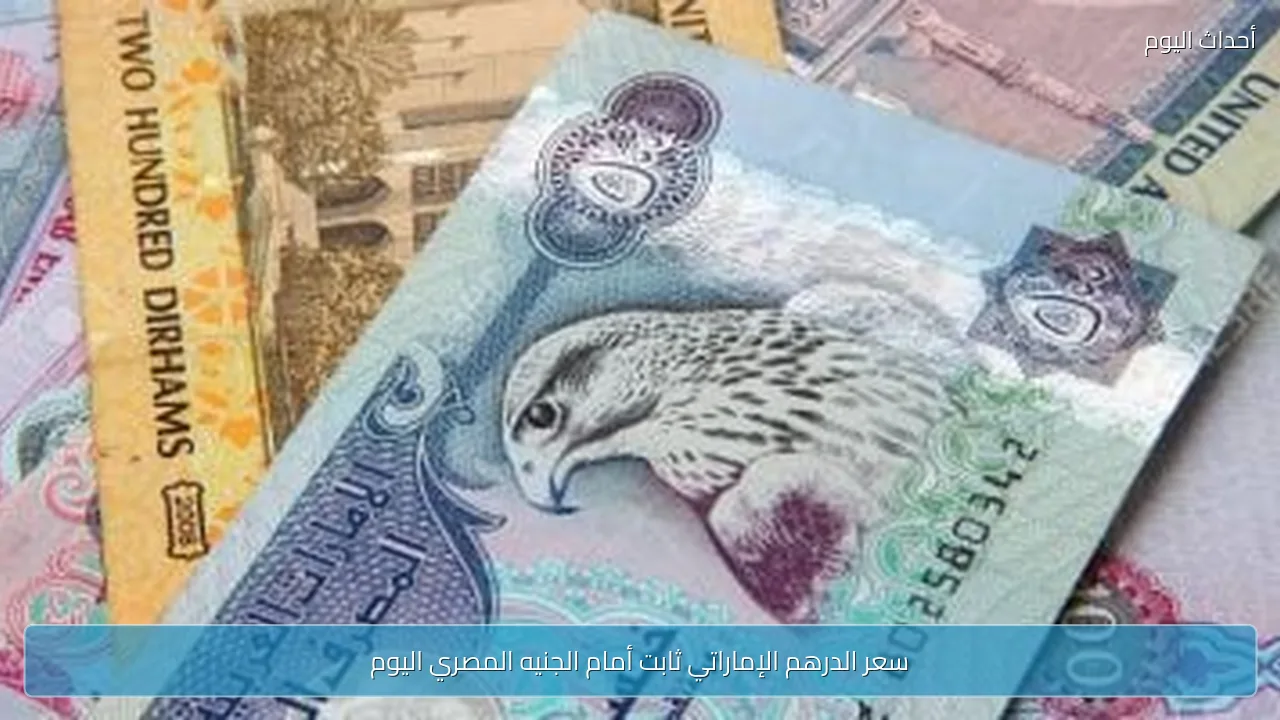 سعر الدرهم الإماراتي ثابت أمام الجنيه المصري اليوم