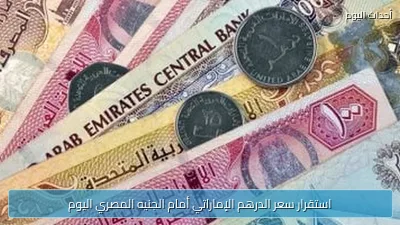 استقرار سعر الدرهم الإماراتي أمام الجنيه المصري اليوم
