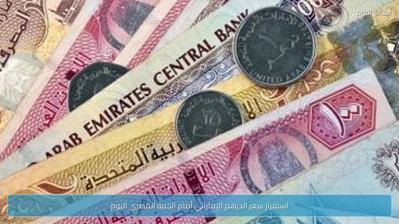استقرار سعر الدرهم الإماراتي أمام الجنيه المصري اليوم