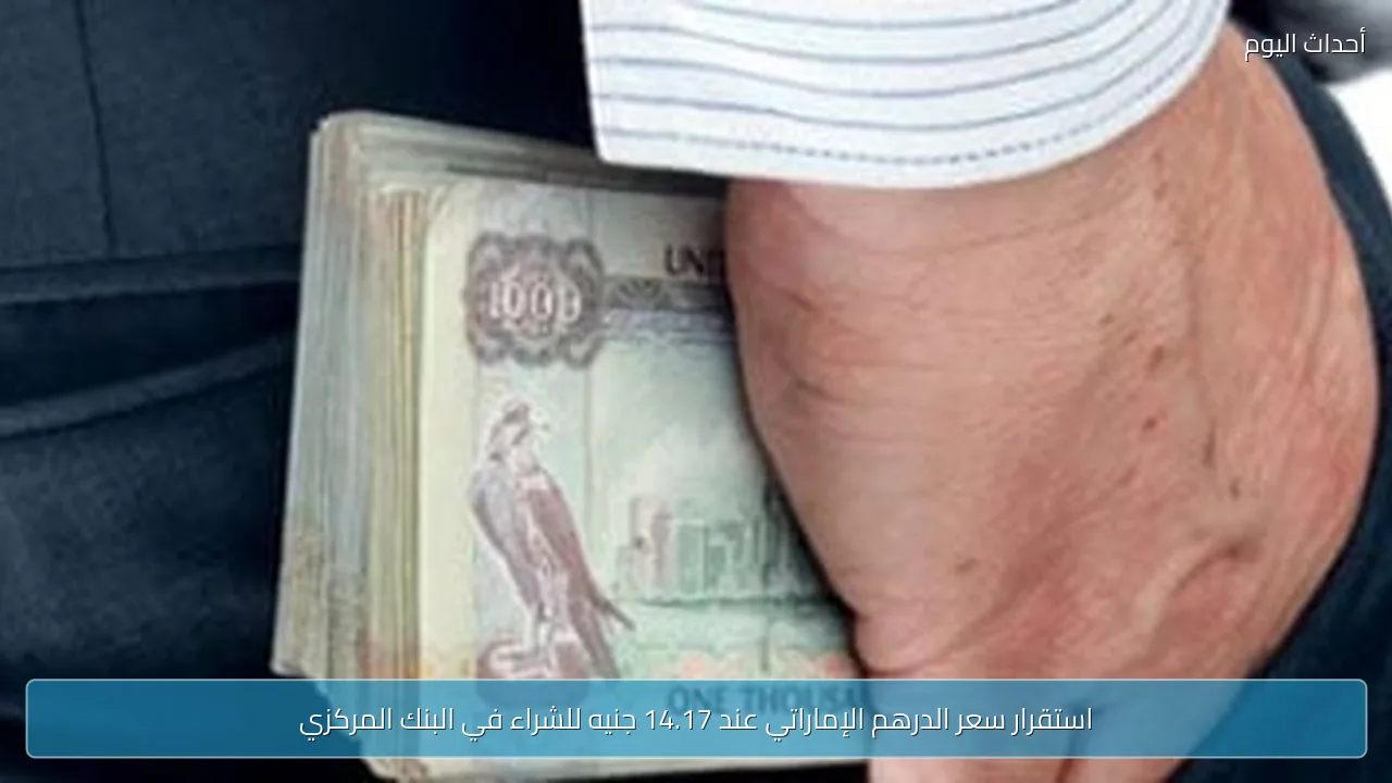 استقرار سعر الدرهم الإماراتي عند 14.17 جنيه للشراء في البنك المركزي