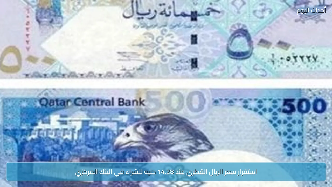 استقرار سعر الريال القطري عند 14.28 جنيه للشراء في البنك المركزي