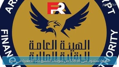 التجارة تستحوذ على 58.66% من تمويلات المشروعات الصغيرة في مصر