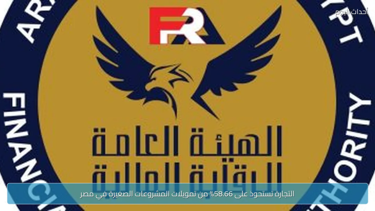 التجارة تستحوذ على 58.66% من تمويلات المشروعات الصغيرة في مصر