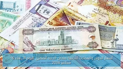 أسعار الدولار والعملات الأجنبية مقابل الجنيه المصري اليوم الأربعاء 16 سبتمبر 2026