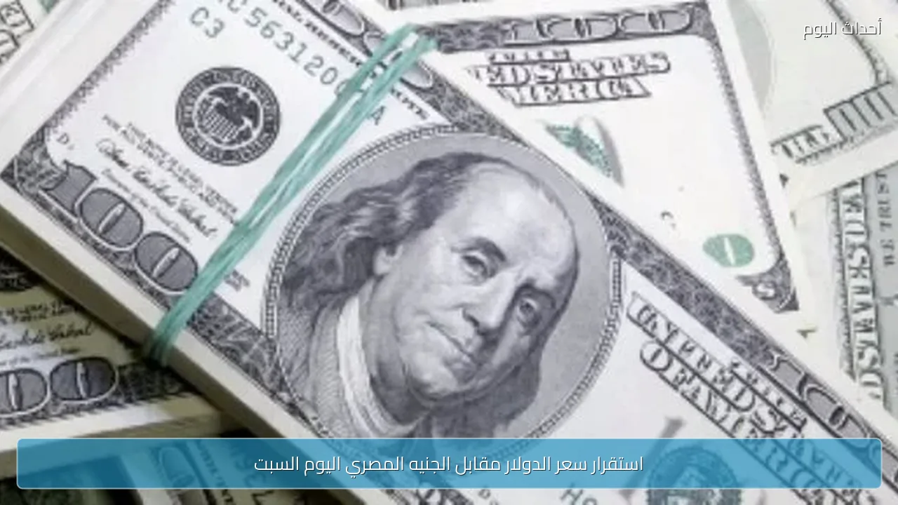 استقرار سعر الدولار مقابل الجنيه المصري اليوم السبت