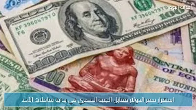 استقرار سعر الدولار مقابل الجنيه المصري في بداية تعاملات الأحد