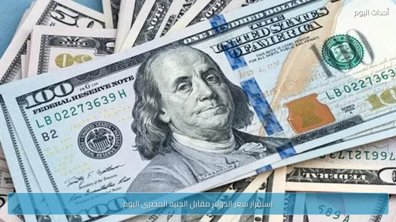 استقرار سعر الدولار مقابل الجنيه المصري اليوم