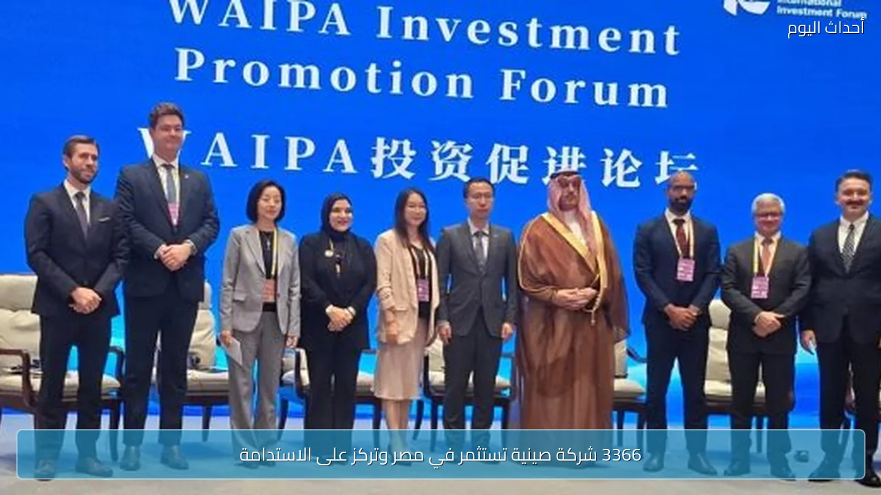 3366 شركة صينية تستثمر في مصر وتركز على الاستدامة