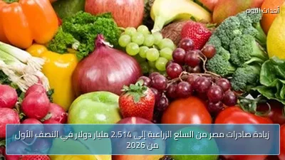 زيادة صادرات مصر من السلع الزراعية إلى 2.514 مليار دولار في النصف الأول من 2026