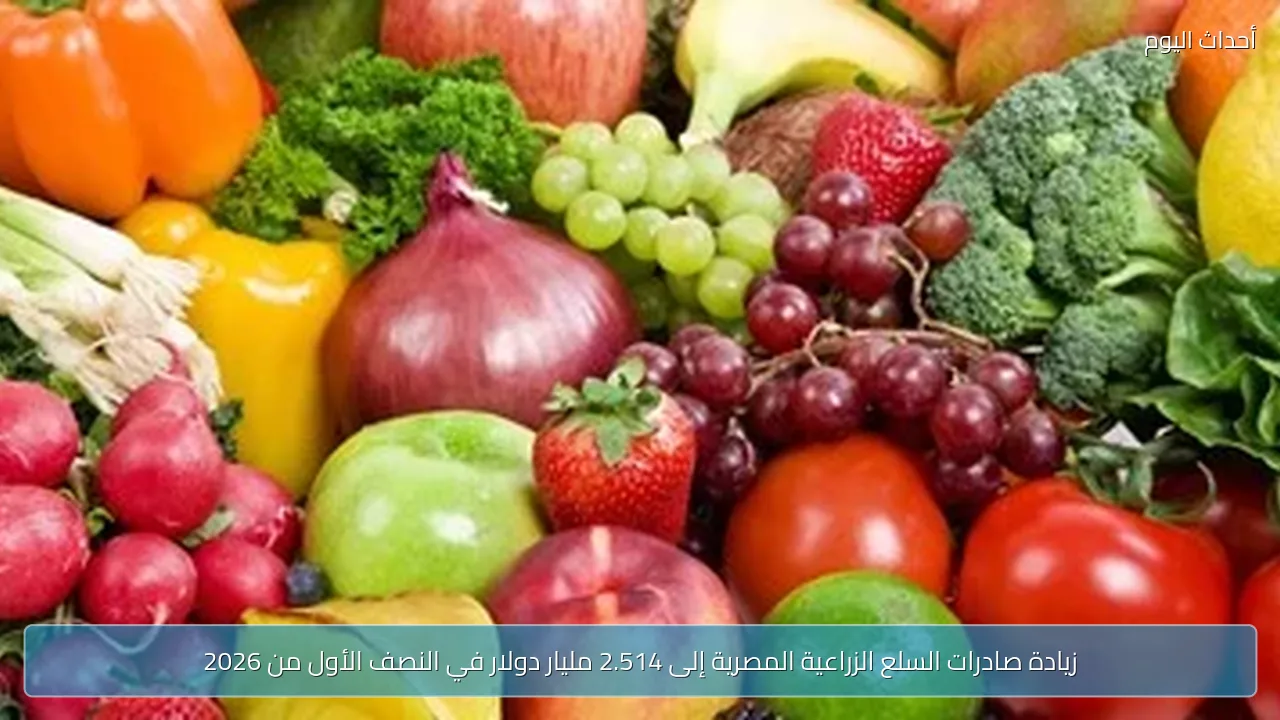 زيادة صادرات السلع الزراعية المصرية إلى 2.514 مليار دولار في النصف الأول من 2026