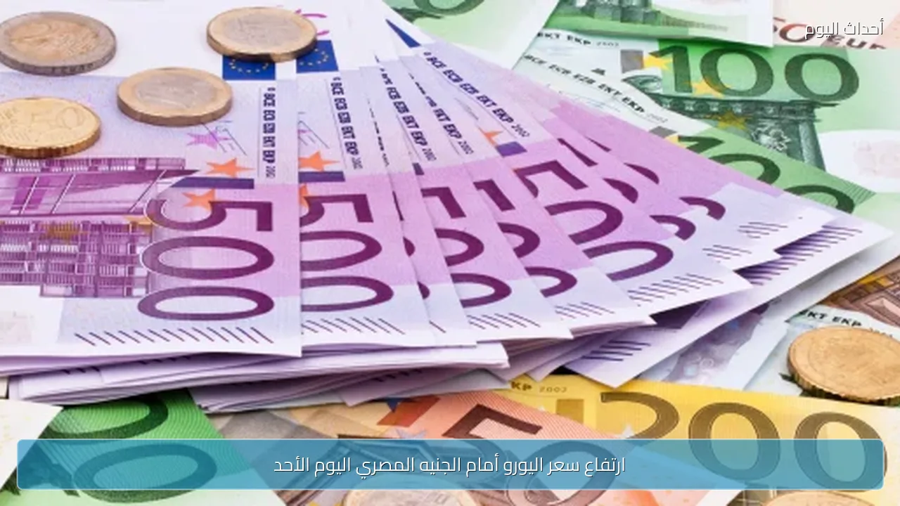 ارتفاع سعر اليورو أمام الجنيه المصري اليوم الأحد