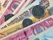 سعر الدرهم الإماراتى