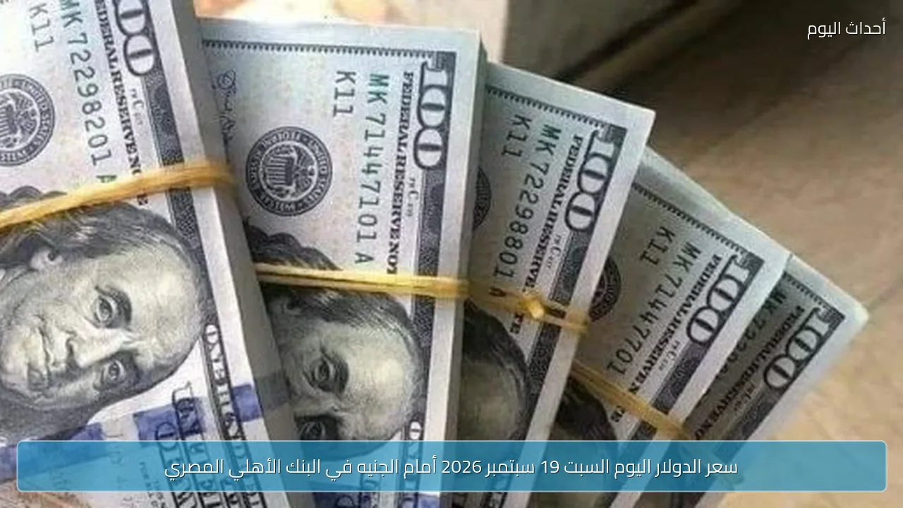 سعر الدولار اليوم السبت 19 سبتمبر 2026 أمام الجنيه في البنك الأهلي المصري