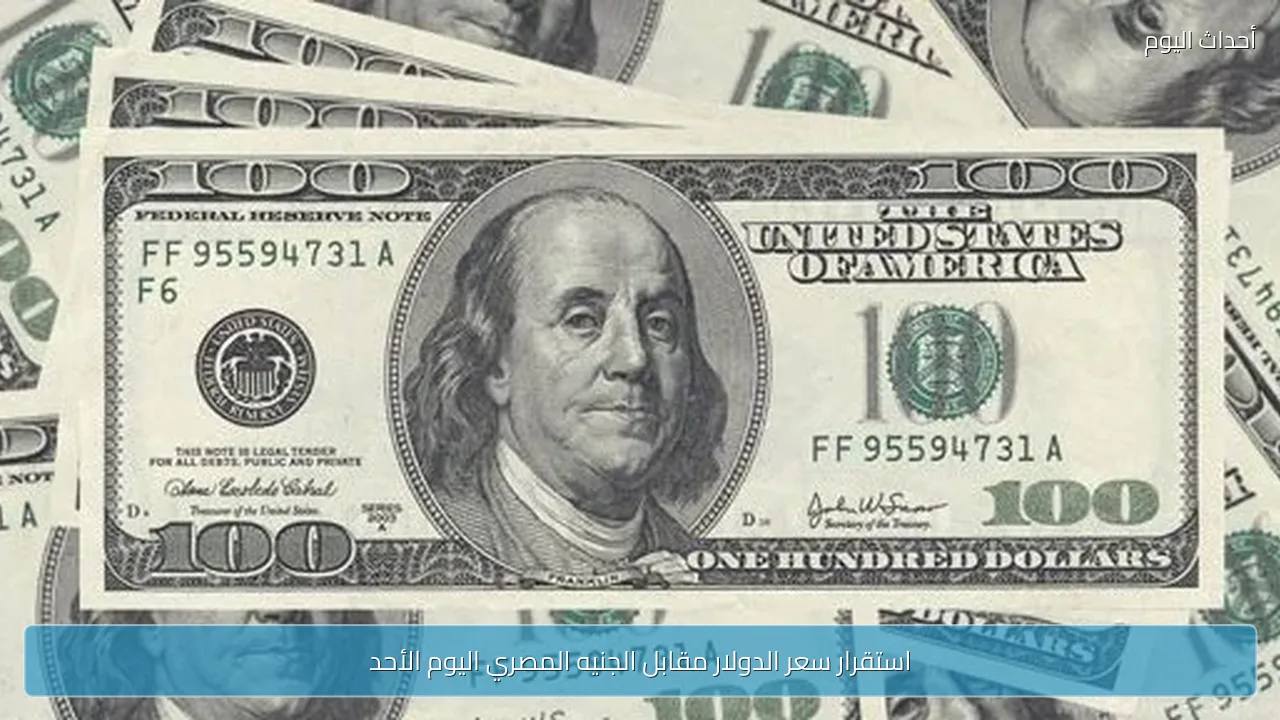 استقرار سعر الدولار مقابل الجنيه المصري اليوم الأحد