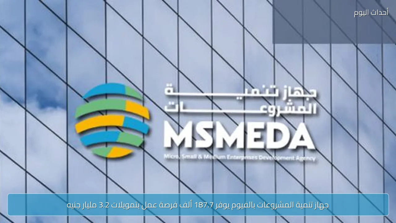 جهاز تنمية المشروعات بالفيوم يوفر 187.7 ألف فرصة عمل بتمويلات 3.2 مليار جنيه