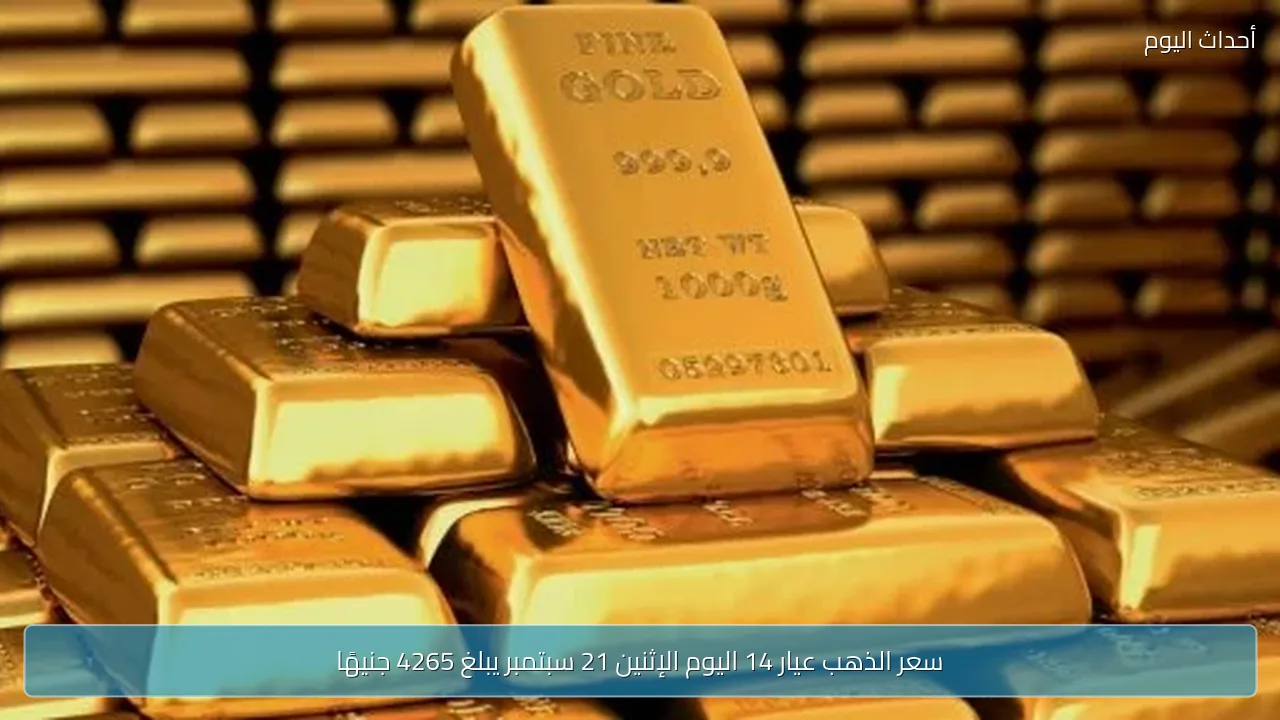 سعر الذهب عيار 14 اليوم الإثنين 21 سبتمبر يبلغ 4265 جنيهًا