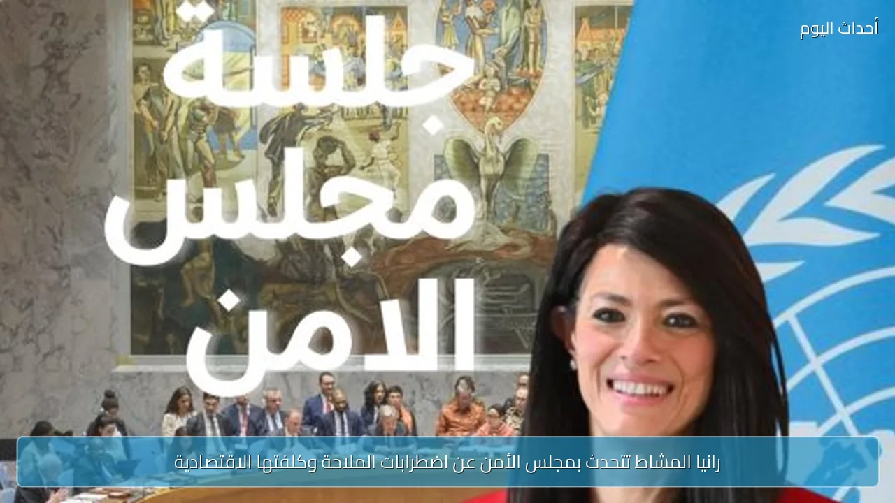 رانيا المشاط تتحدث بمجلس الأمن عن اضطرابات الملاحة وكلفتها الاقتصادية
