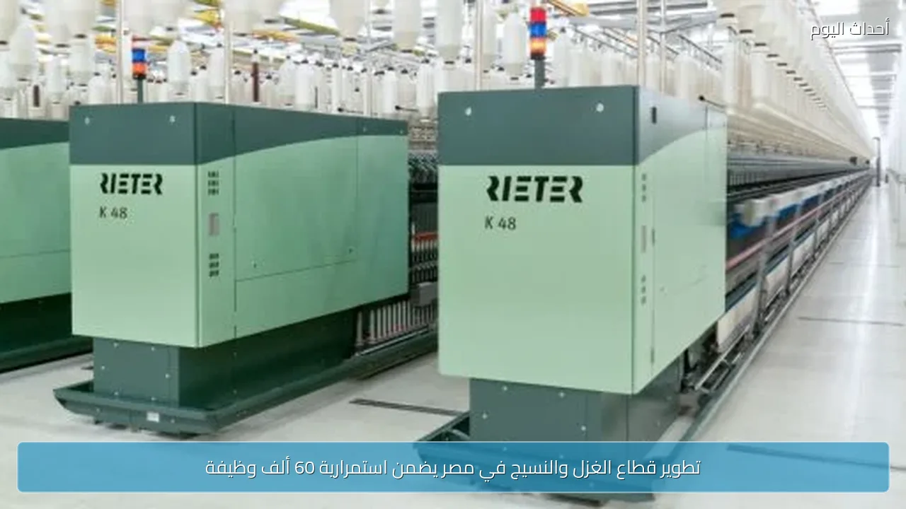 تطوير قطاع الغزل والنسيج في مصر يضمن استمرارية 60 ألف وظيفة