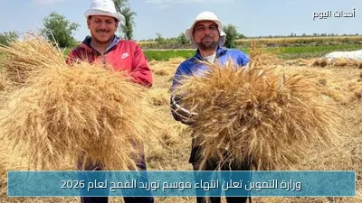وزارة التموين تعلن انتهاء موسم توريد القمح لعام 2026