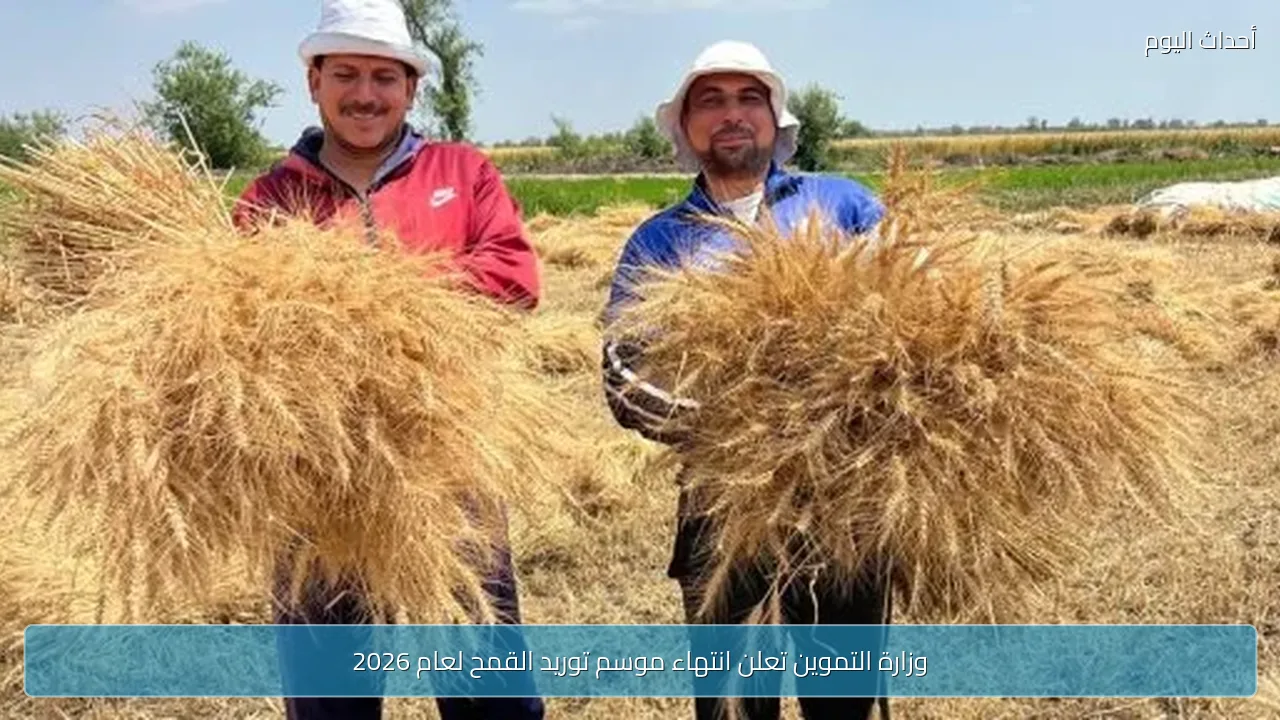 وزارة التموين تعلن انتهاء موسم توريد القمح لعام 2026