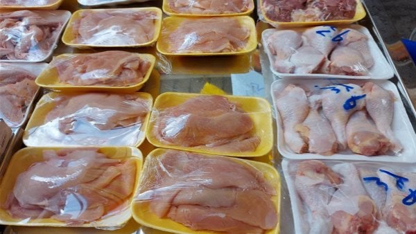 اسعار الفراخ اليوم 