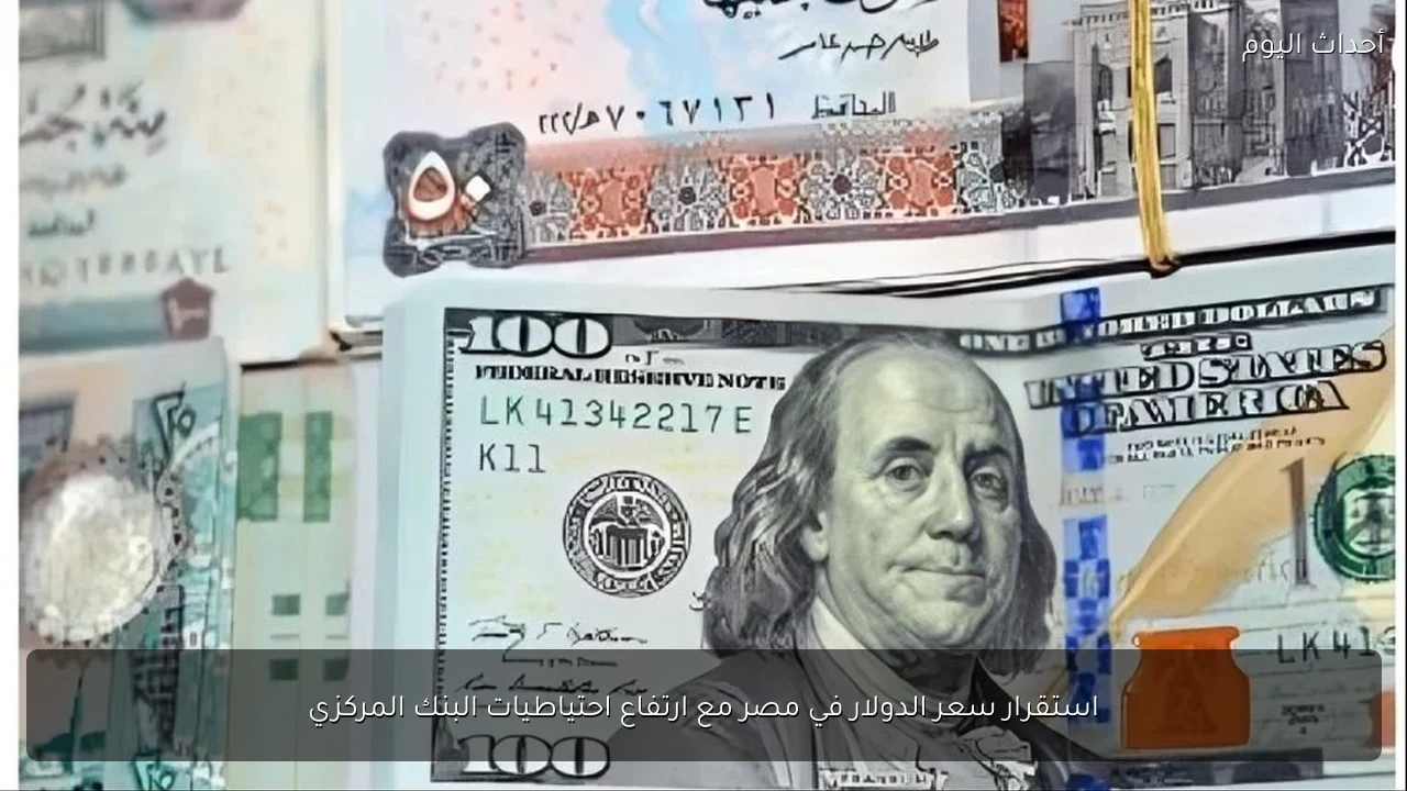 استقرار سعر الدولار في مصر مع ارتفاع احتياطيات البنك المركزي