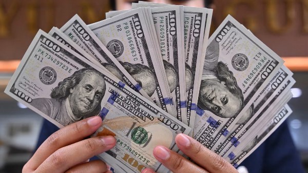 استقرار سعر الدولار في البنوك المصرية مع بداية تداولات اليوم سعر الدولار اليوم