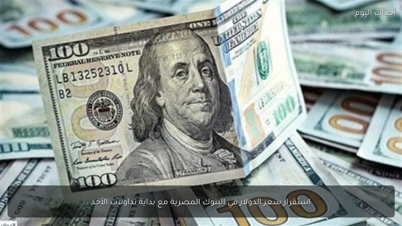 استقرار سعر الدولار في البنوك المصرية مع بداية تداولات الأحد