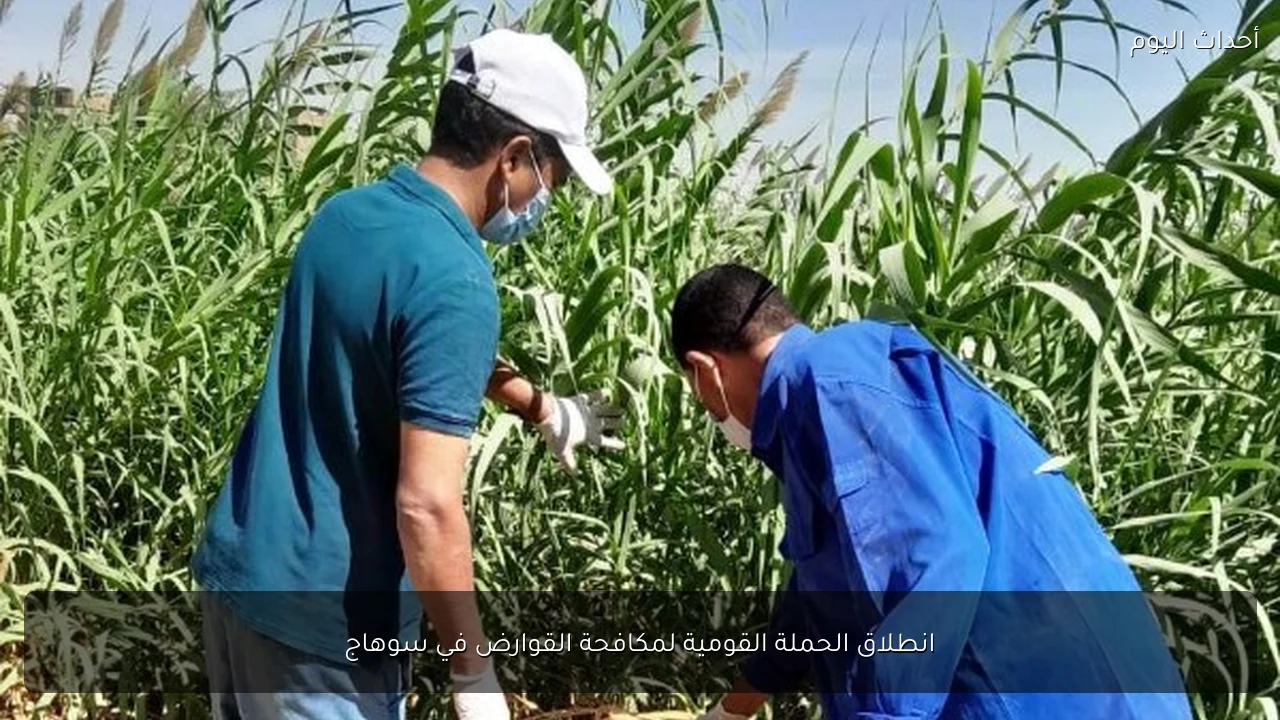 انطلاق الحملة القومية لمكافحة القوارض في سوهاج