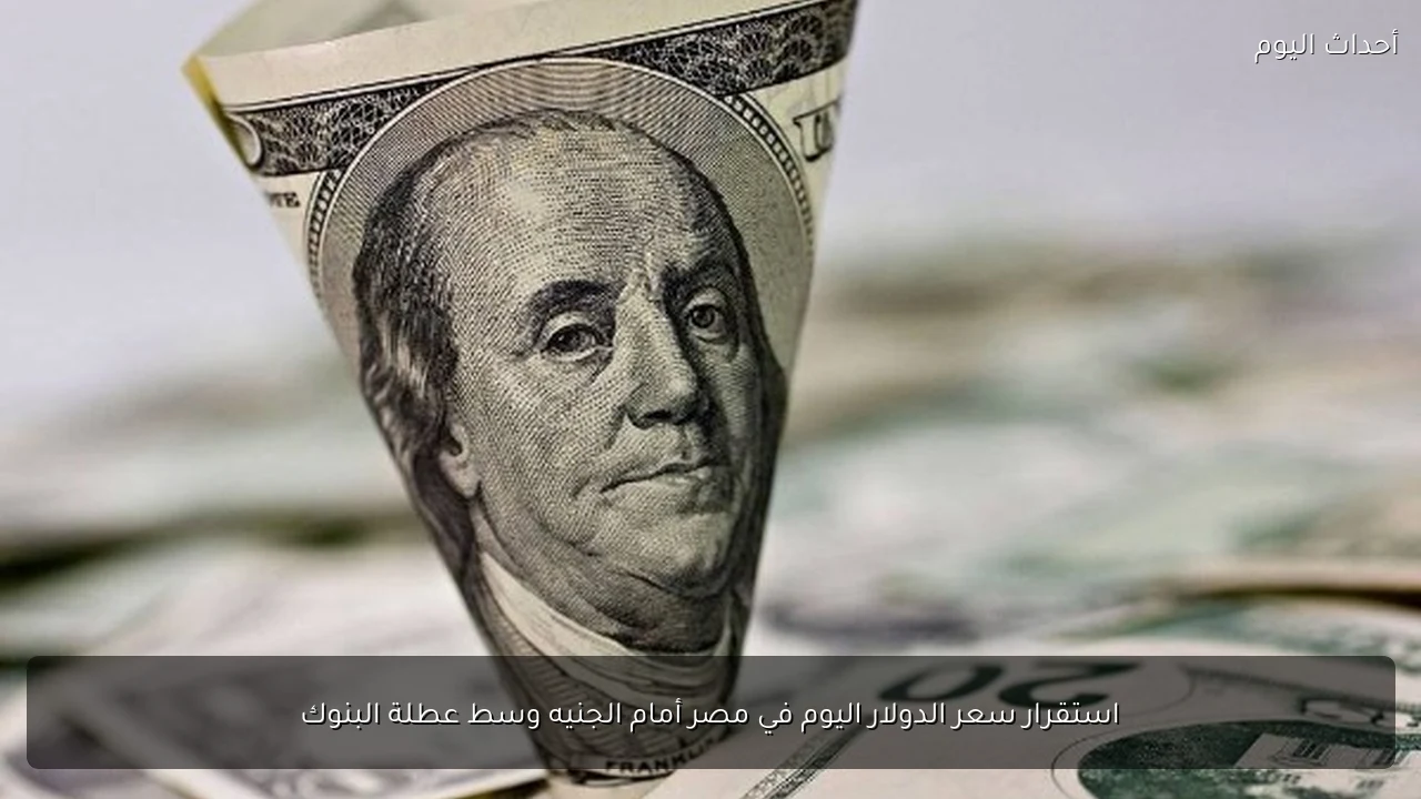 استقرار سعر الدولار اليوم في مصر أمام الجنيه وسط عطلة البنوك