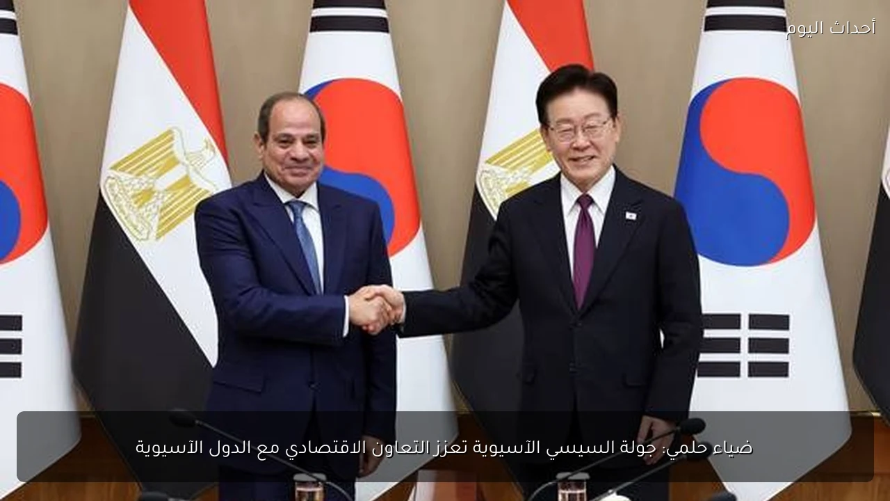ضياء حلمي: جولة السيسي الآسيوية تعزز التعاون الاقتصادي مع الدول الآسيوية
