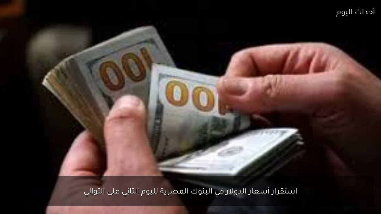 استقرار أسعار الدولار في البنوك المصرية لليوم الثاني على التوالي