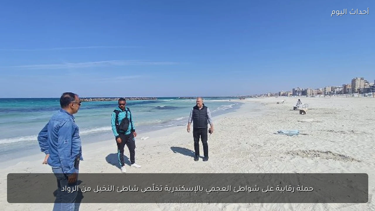 حملة رقابية على شواطئ العجمي بالإسكندرية تخلّص شاطئ النخيل من الرواد