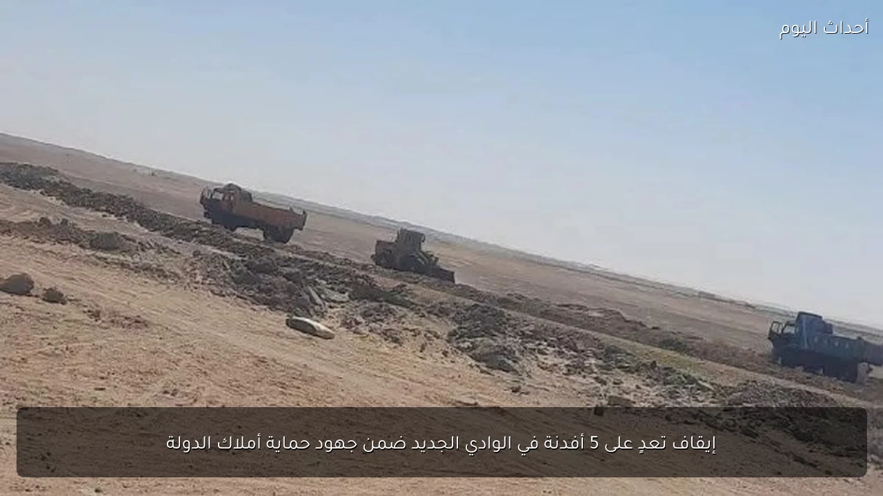 إيقاف تعدٍ على 5 أفدنة في الوادي الجديد ضمن جهود حماية أملاك الدولة