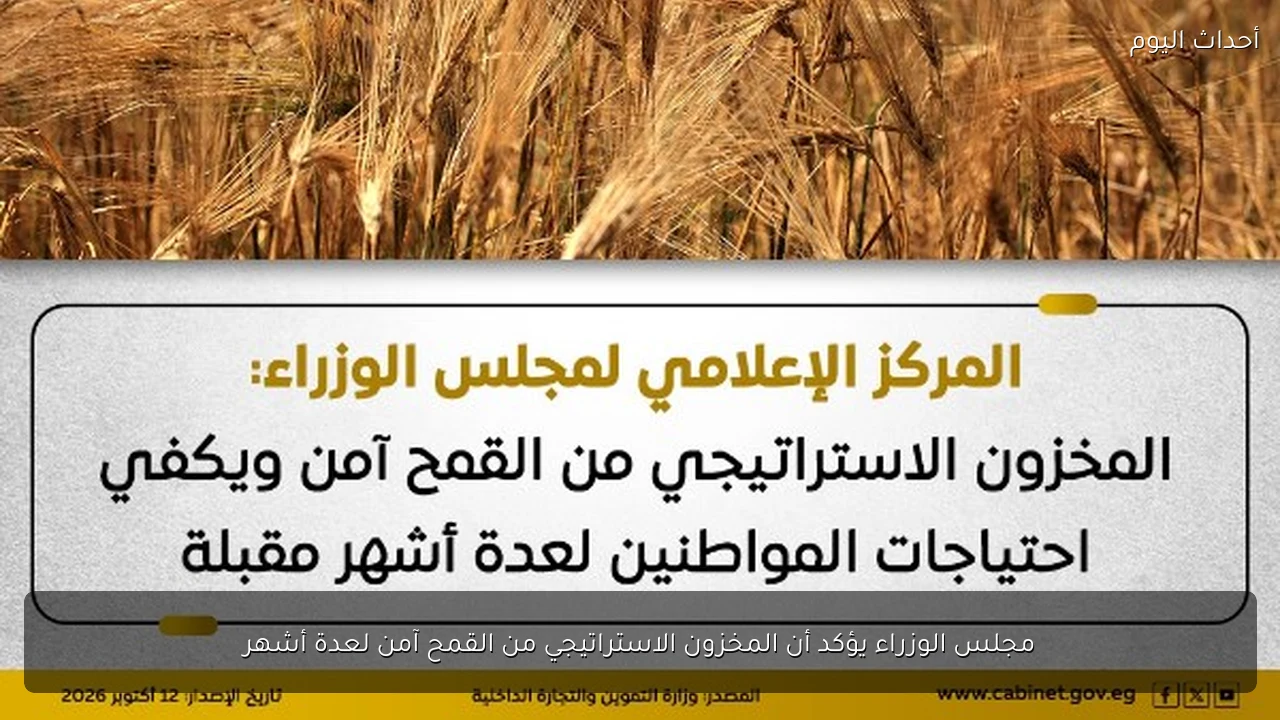 مجلس الوزراء يؤكد أن المخزون الاستراتيجي من القمح آمن لعدة أشهر