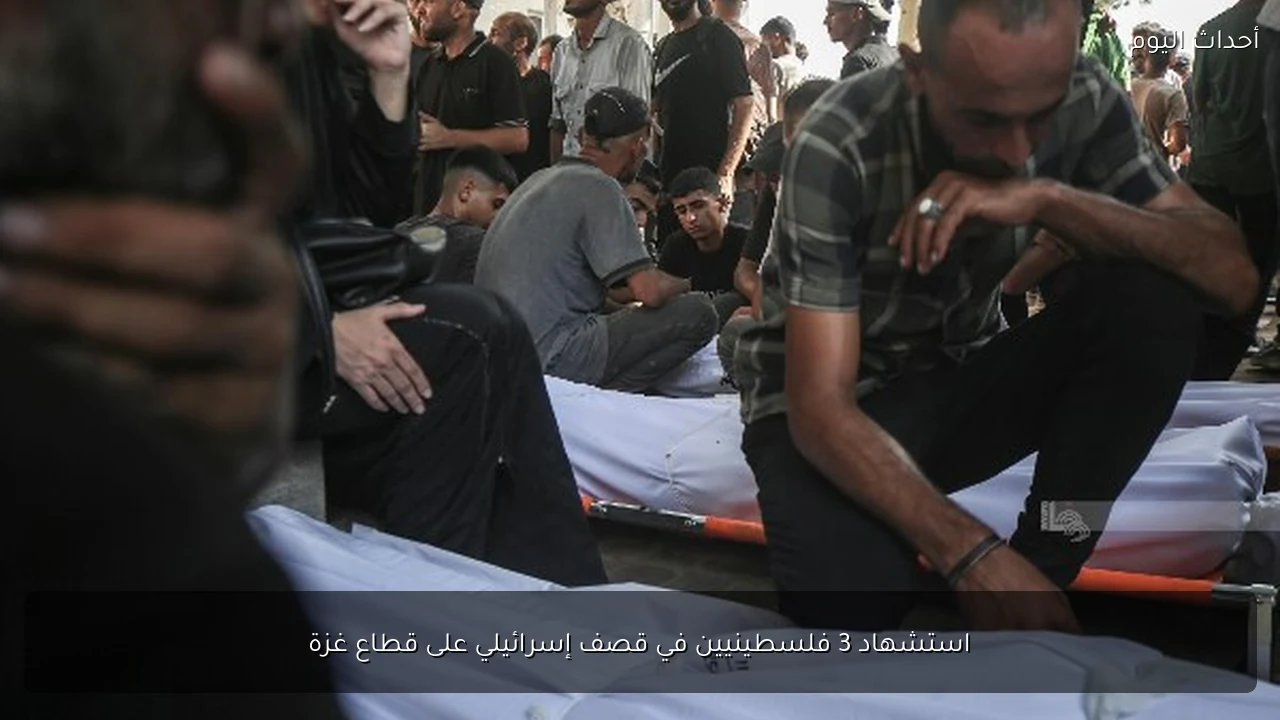 استشهاد 3 فلسطينيين في قصف إسرائيلي على قطاع غزة