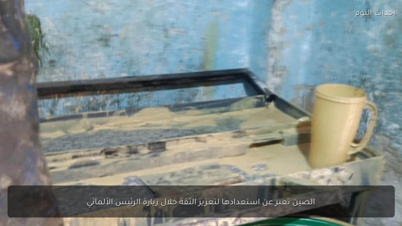 الصين تعبر عن استعدادها لتعزيز الثقة خلال زيارة الرئيس الألماني