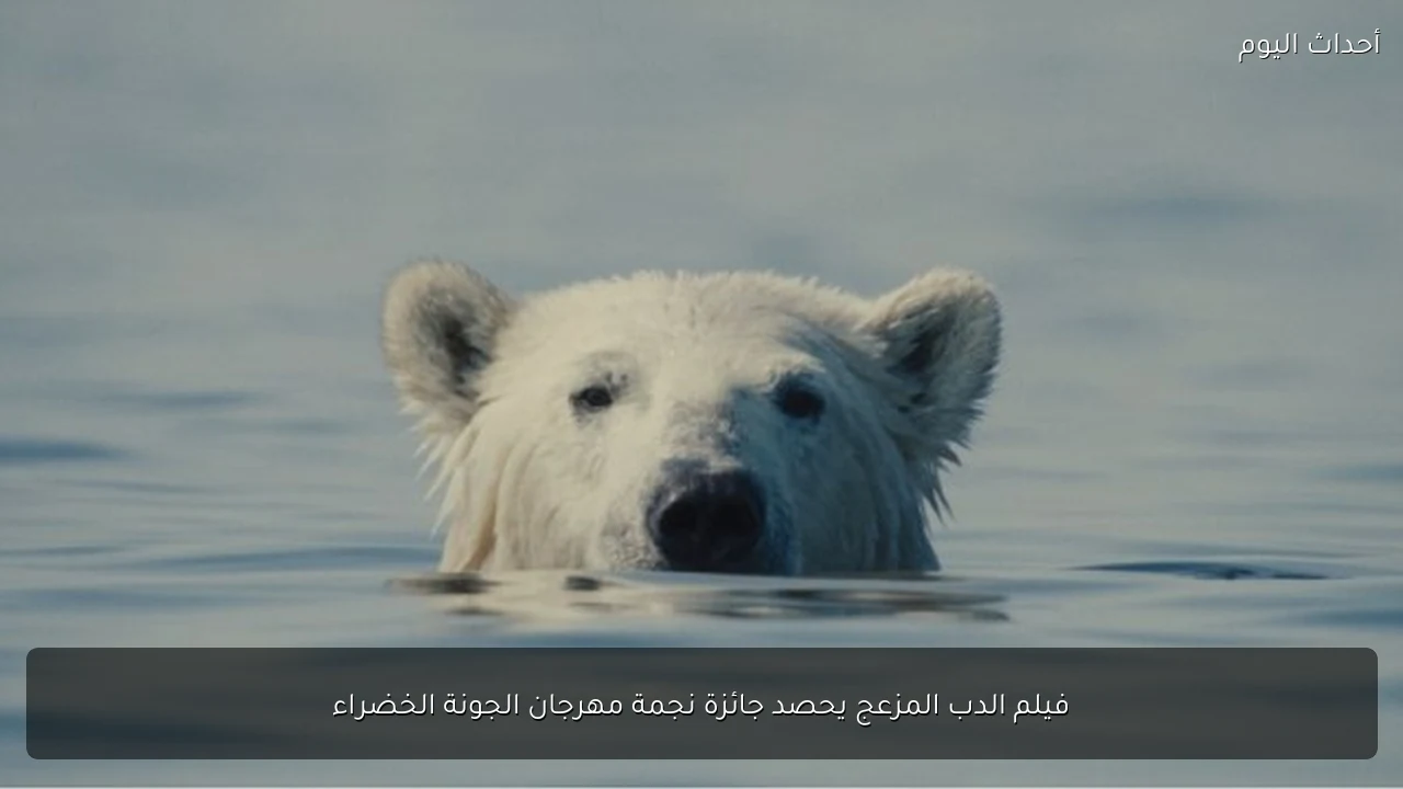 فيلم الدب المزعج يحصد جائزة نجمة مهرجان الجونة الخضراء