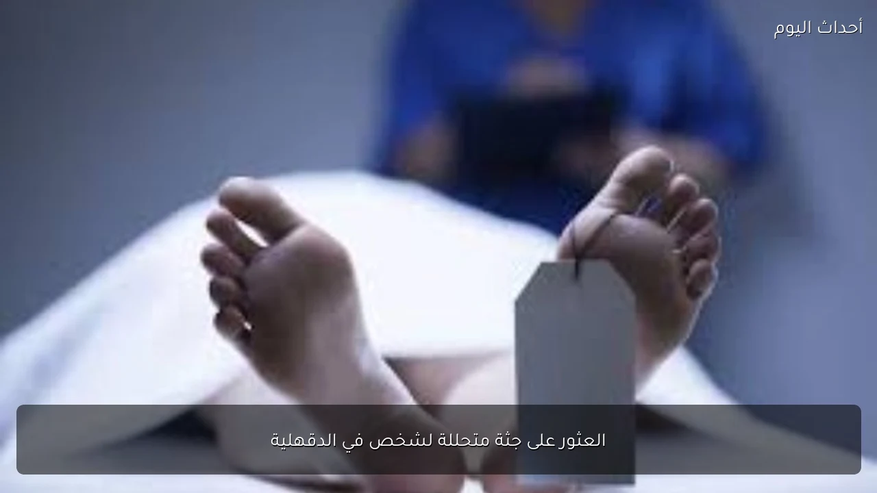 العثور على جثة متحللة لشخص في الدقهلية