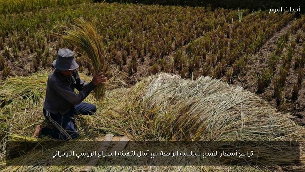 تراجع أسعار القمح للجلسة الرابعة مع آمال لتهدئة الصراع الروسي الأوكراني