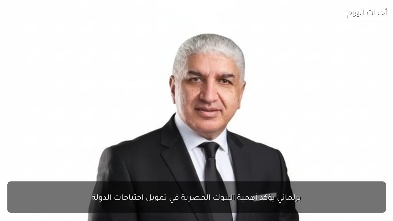 برلماني يؤكد أهمية البنوك المصرية في تمويل احتياجات الدولة