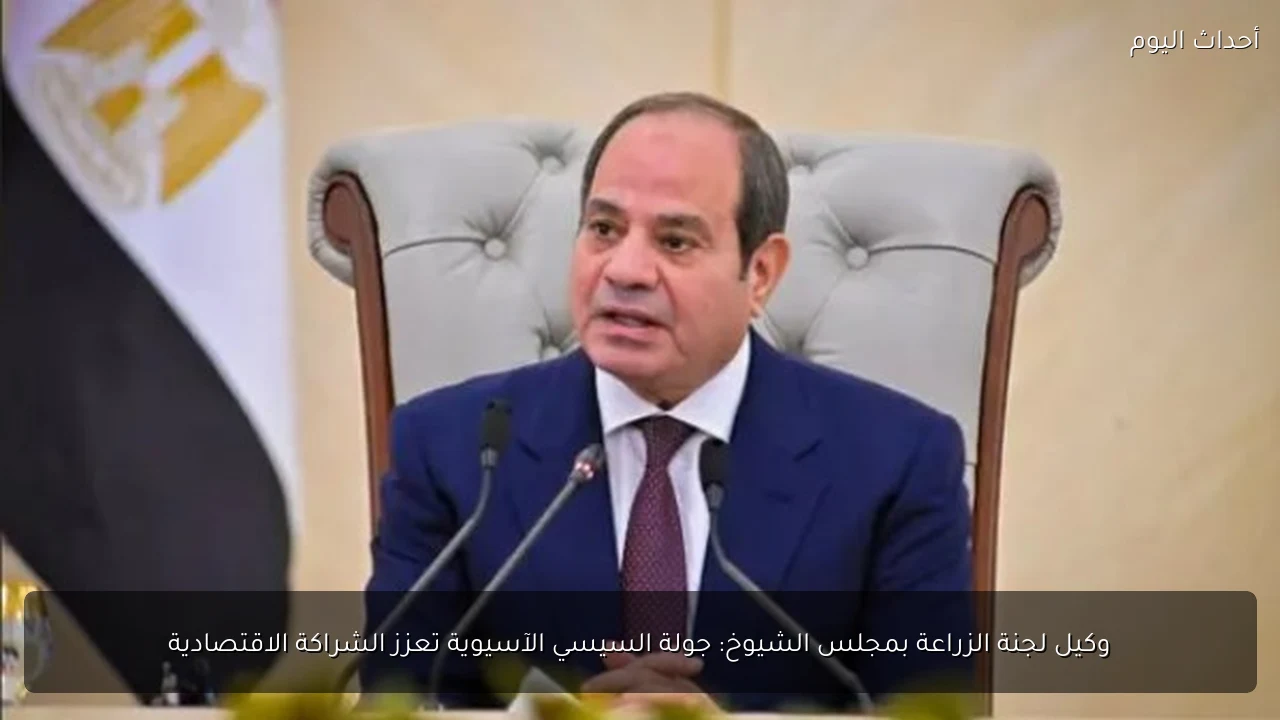 السيسي يؤكد دور الشعب المصري في مواجهة التحديات بعد جولته الآسيوية