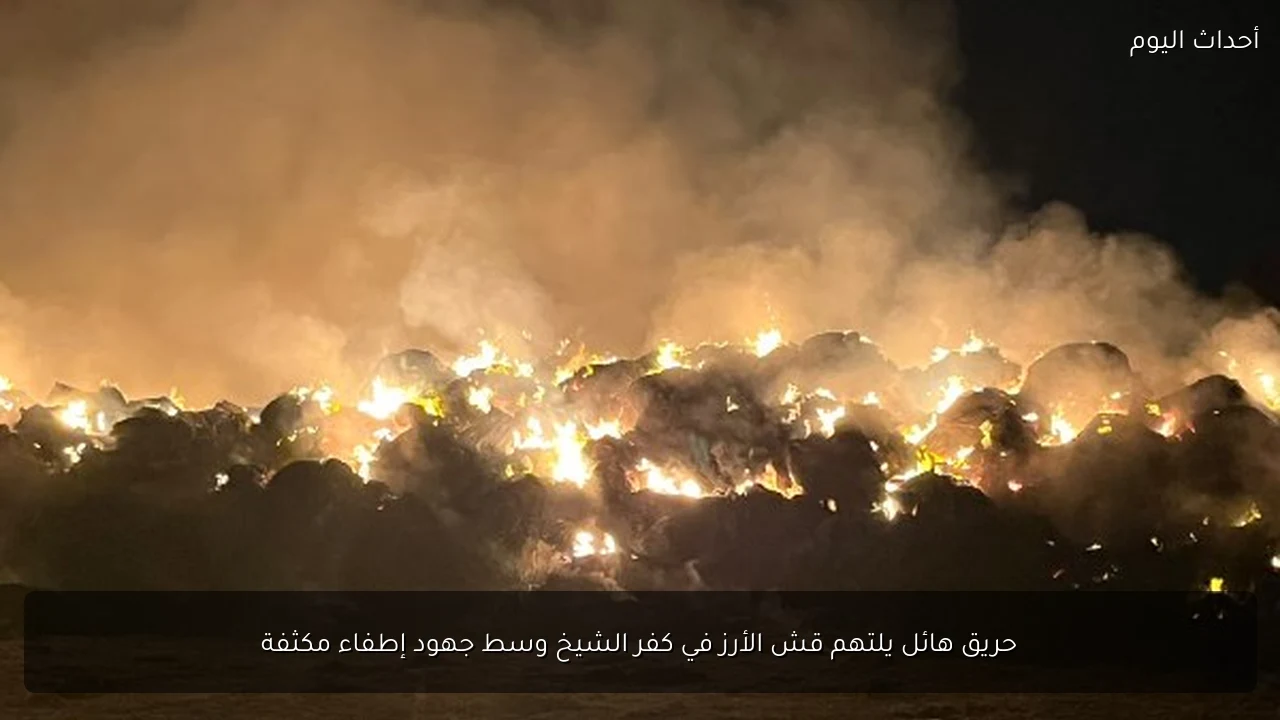 حريق هائل يلتهم قش الأرز في كفر الشيخ وسط جهود إطفاء مكثفة