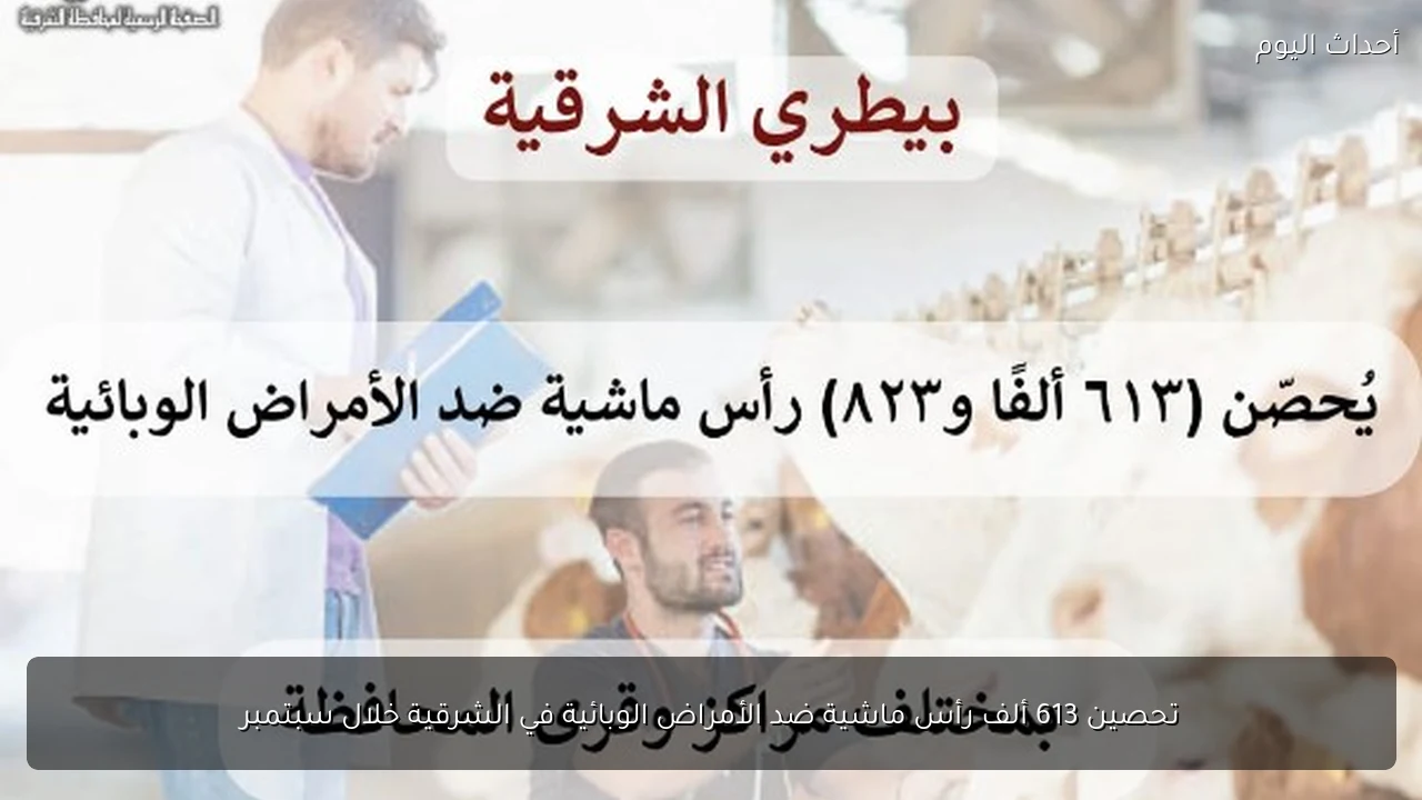 تحصين 613 ألف رأس ماشية ضد الأمراض الوبائية في الشرقية خلال سبتمبر
