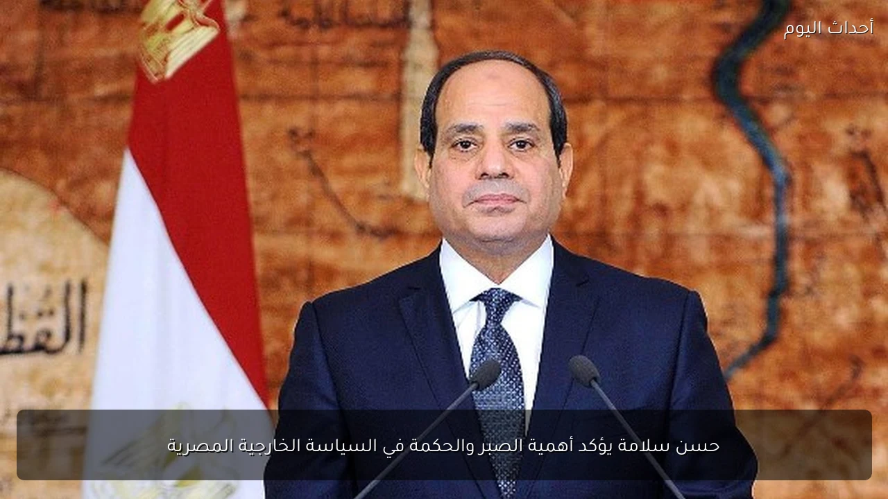 حسن سلامة يؤكد أهمية الصبر والحكمة في السياسة الخارجية المصرية