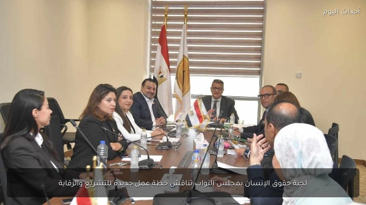 لجنة حقوق الإنسان بمجلس النواب تناقش خطة عمل جديدة للتشريع والرقابة