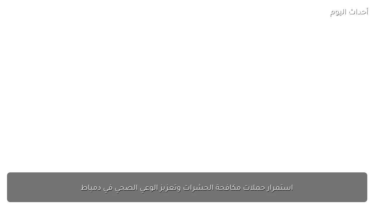 استمرار حملات مكافحة الحشرات وتعزيز الوعي الصحي في دمياط